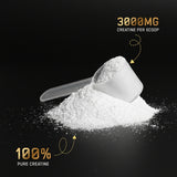 Pure Creatine Monohydrate Micronised