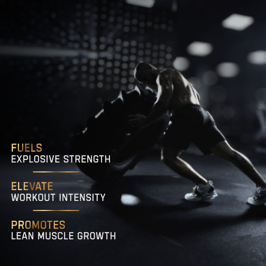 Pure Creatine Monohydrate Micronised