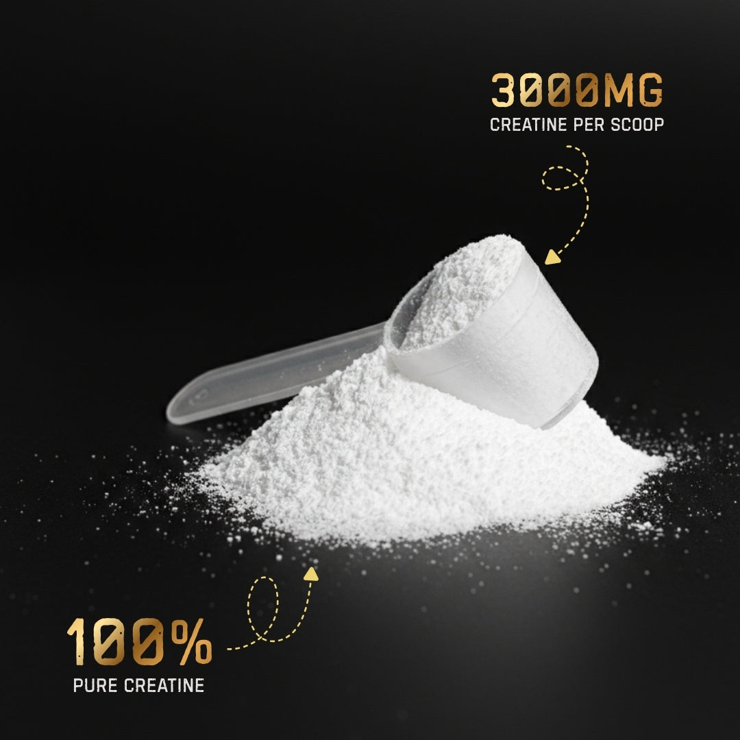 Pure Creatine Monohydrate Micronised