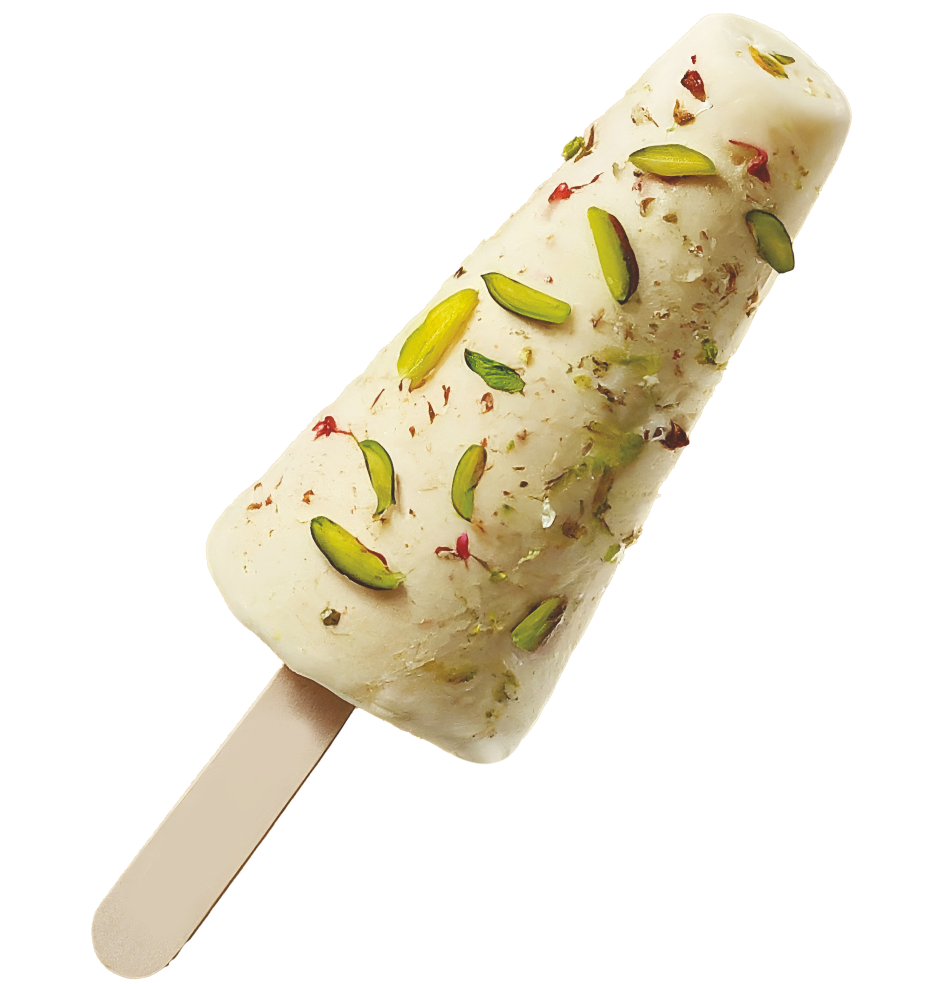 Dryfruit Kulfi